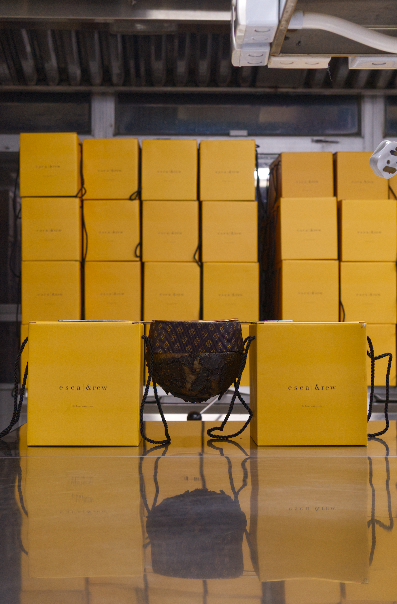 60-Hour Chocolate Hazelnut Panettone