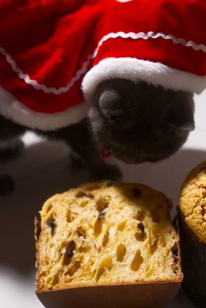 60-Hour Panettone (750g)