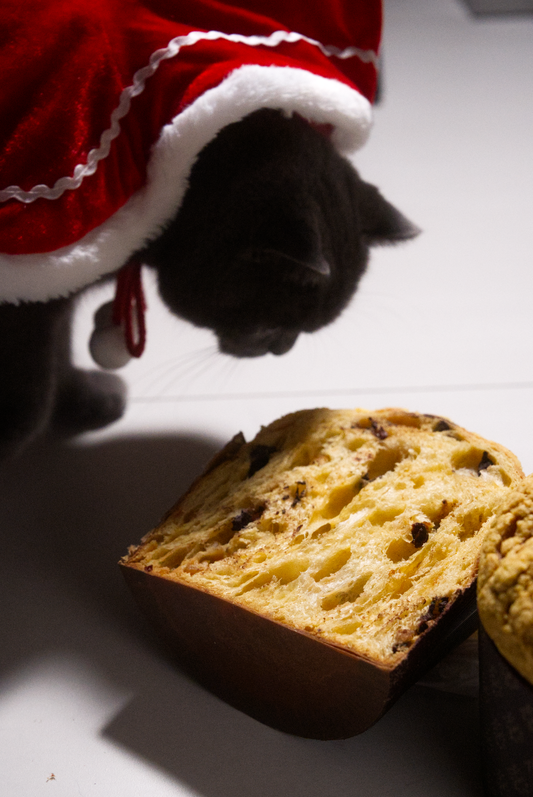 60-Hour Panettone (750g)